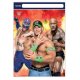 8 Sacchetti di WWE