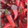 Peperoncino Fini Gommoso