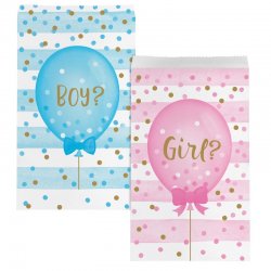 Sacchetto di Carta Baby Shower Rivelazione Sesso