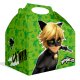 Caja Cat Noir