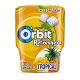 Chicles Orbit Bote Fresa y Limon