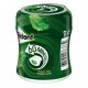 Trident Barattolo 60 Minutes Menta Verde Liquida
