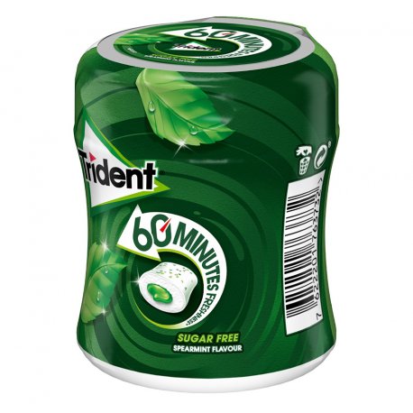 Trident Barattolo 60 Minutes Menta Liquida
